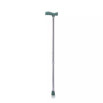 Walking Stick Walking Stick