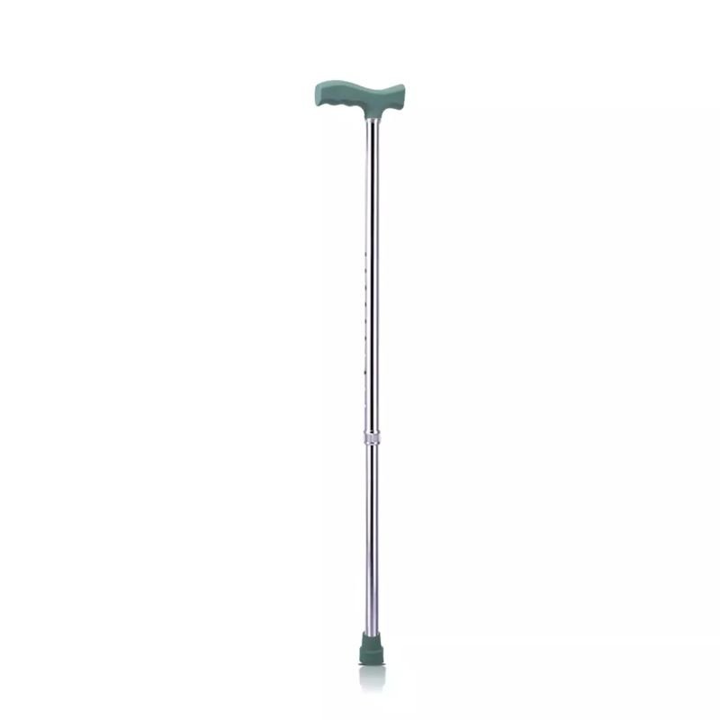 Walking Stick