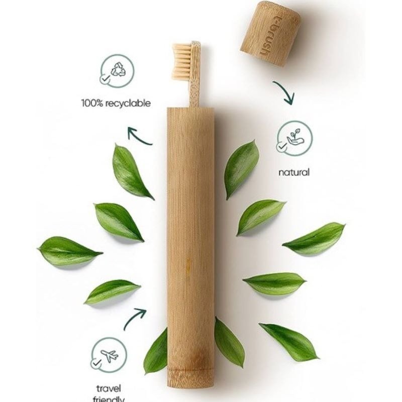 T-Brush Toothbrush Storage Container